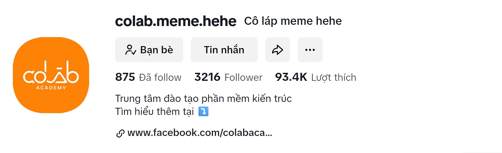Tiktok CoLAB Academy